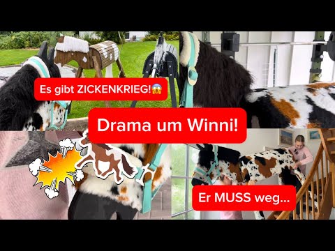 DRAMA! Winnie has to go... BATTLES AT THE WOODEN HORSE STABLE!😱🐴