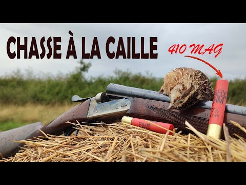 QUAIL HUNTING with Pointing Dog 🐕 + Gourmet Recipe with Sauternes.