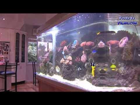 download lagu mp3 mp4 Aquagrande, download mp3 Aquagrande free downloadn, video klip Aquagrande