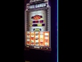 Quick hits slot machine bonus jackpot 