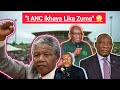 Kuthuke abaningi umhlaziyi eveza okungaziwa ngo Zuma ne ANC okufaka ne MK 😳[Zizwele]