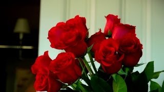 How to Make Your Valentine's Roses Last | At Home With P. Allen Smith