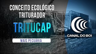 Miniatura do vídeo