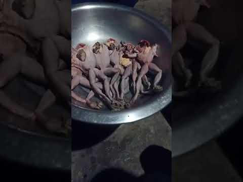 Naga people cooking frog