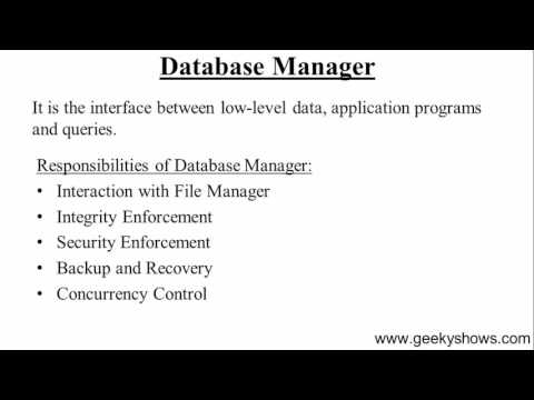 13 Database Manager and Its Responsibilities in Database Management System Hindi