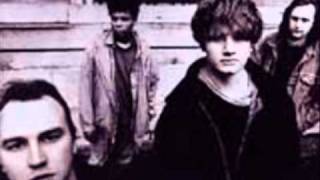 find the answer within.wmv - the boo radleys