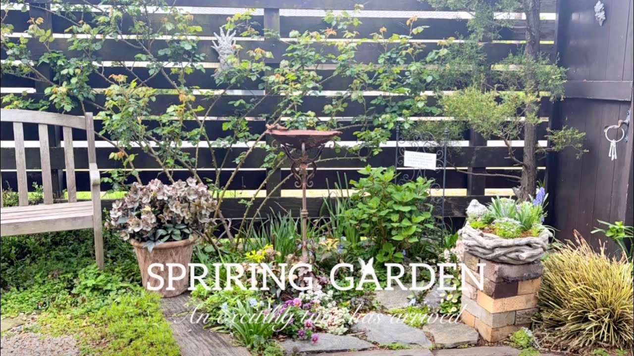 ワクワクがとまらない♪1年で1番好きな時期到来/咲くと嬉しくなる花/早春のオープンガーデンMy favorite time of year