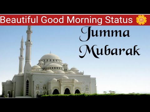 "Jumma Mubarak 🌸 | Subah Bakhair Quotes in Urdu | Beautiful Good Morning Status 🌼"