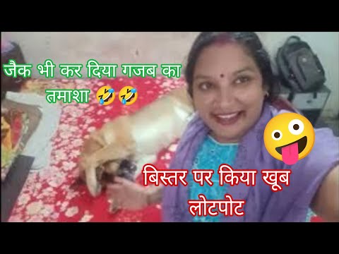 My Jack is always in a different zone 🤣 As soon as he came to bed, he got into some fun 🥰 #funnyd...