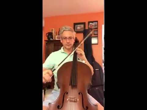 Fauré Élégie, Op. 24 lesson