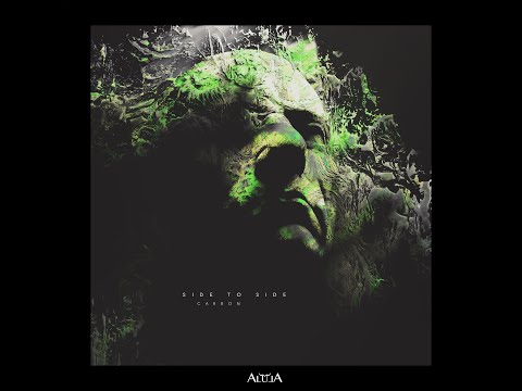 Carbon - Inner flight (Official audio)