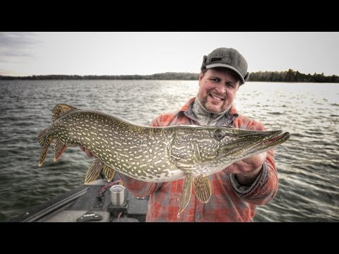 Want to Catch Monster Muskie? Our Favorite Tips and Techniques