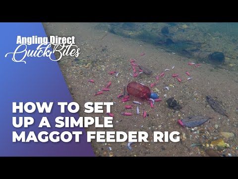 How To Set Up A Simple Maggot Feeder Rig... Coarse Fishing Quickbite