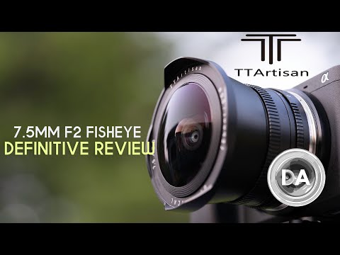 Video thumbnail for Video Review 3