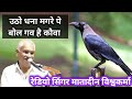 उठो धना मगरे पे बोल गव है कौवा लगत तोरे 