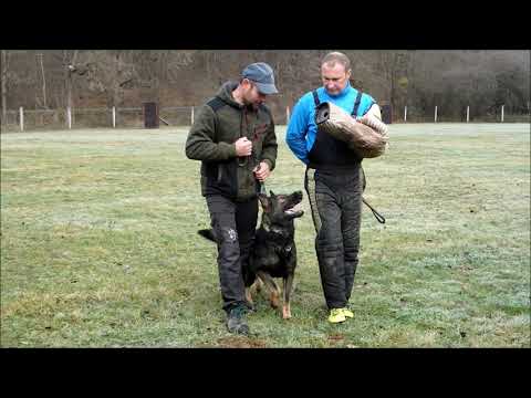 York z Vodňanské doliny