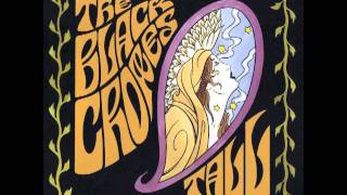 Title song - The Black Crowes