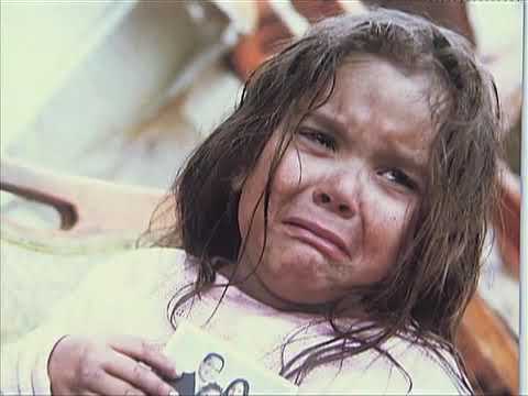 Zorganizowani (2006)