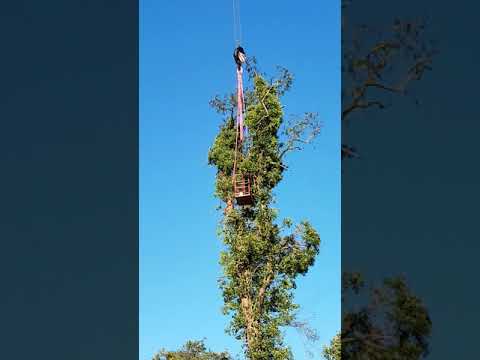 Stellenangebot  Garten- u. Landschaftsbau Tiefu Erdarbeiten in Uetze