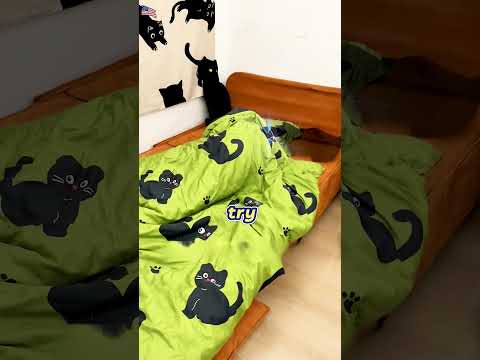 My Cat Stole My Body After We Turned Invisible?! 👻🐱#USA #America #fyp