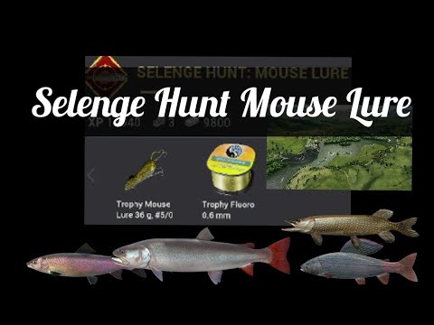 SELENGE HUNT - MOUSE LURE - MASTERING MISSION