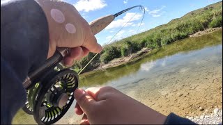 Hectic Day Out in a New Stream (Found The Money Hole) Fly Fishing NZ