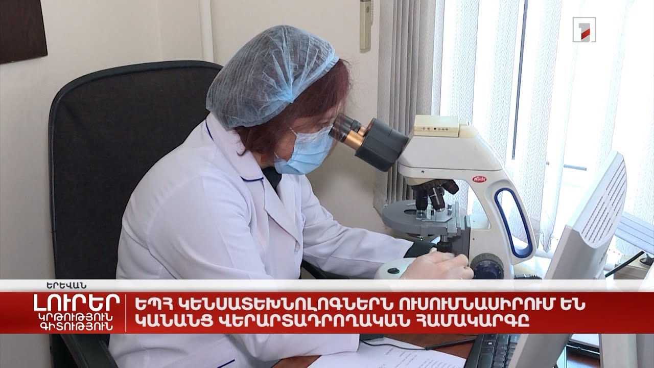 ԵՊՀ կենսատեխնոլոգներն ուսումնասիրում են կանանց վերարտադրողականության խնդիրները