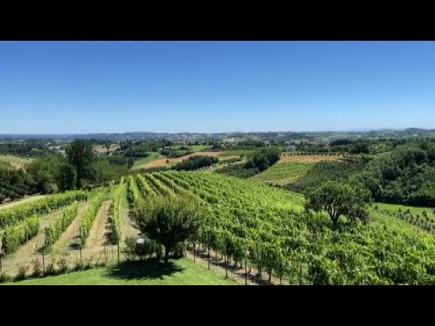 Alla scoperta di San Damiano d'Asti, terra di vini e di tartufi