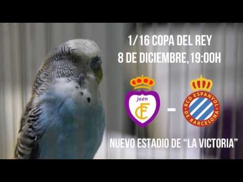 Spot Real Jaén  RCD Espanyol Copa del Rey