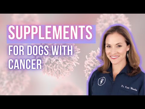 Diet and supplements for dogs with cancer