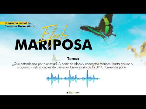 ¿Qué entendemos por bienestar? 