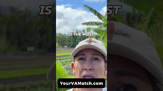 Training Video Gallery 3 Discover How YourVAMatch Helped Colette Find Her Ideal VA!