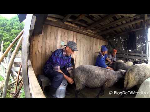 Stâna de pe Vârful Negrașului - blogdecalatorii.ro