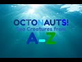 OCTONAUTS Sea Creatures From A Z With Real Pictures