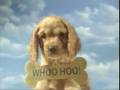 Washington Mutual WaMu Overdraft Puppies Commercial