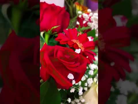 #persempre #angeli #flowers