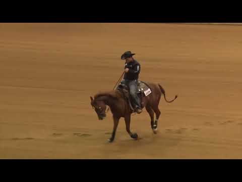 191103 Open Tell Edgmon on Miss Royal Code