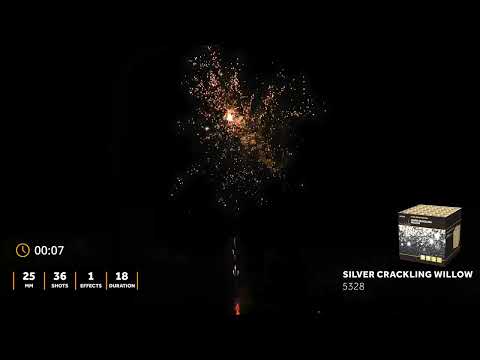 5328 - Silver crackling willow