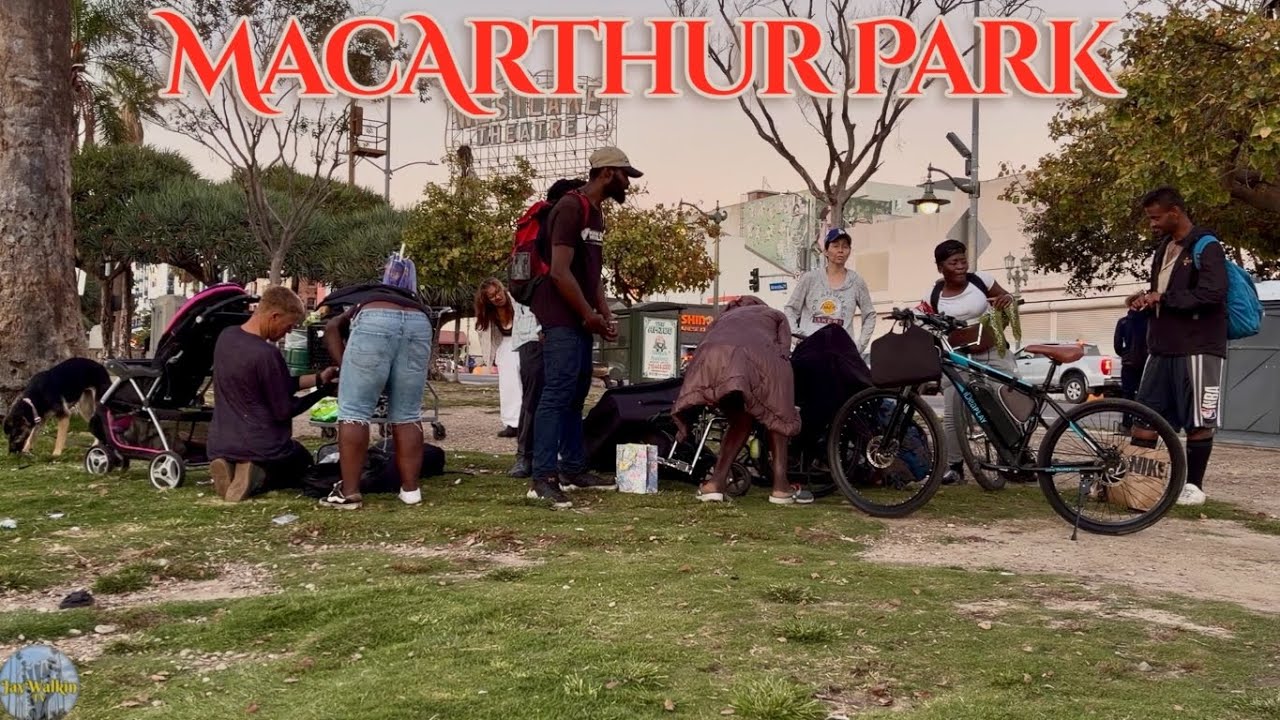 🧺Picnic at The Park Tomorrow 🌳: Is it Ready? | Los Angeles, California 🇺🇸 