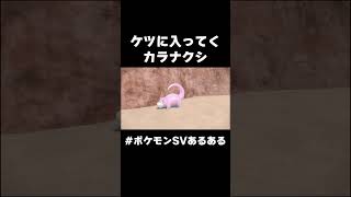 ぶりっ #ポケモン #ポケモンsv #shorts