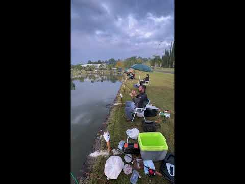 Pesca em bom sucesso do sul - PR.       #health #Shorts #trending #peixe