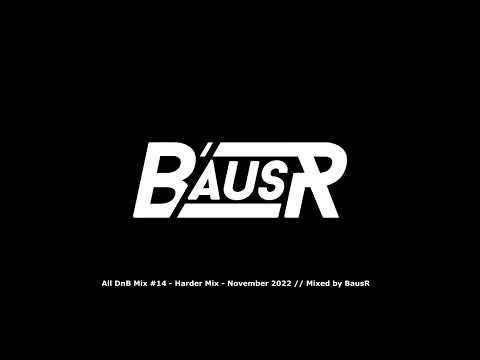 All DnB Mix #14 - Harder Mix - November 2022 (ft. Hedex, A.M.C, Document One, Buunshin, Gyrda, ...)