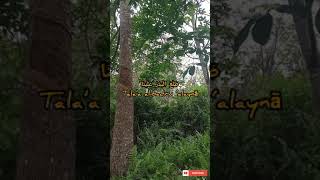 Download lagu SHOLAWAT PETANI KARET | THOLA'AL BADRU 'ALAINA #shorts #youtubeshorts #sholawat #storywa mp3 Download lagu SHOLAWAT PETANI KARET | THOLA'AL BADRU 'ALAINA #shorts #youtubeshorts #sholawat #storywa mp3