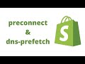 Speed Up Shopify Store With Preconnect Dns Prefetch Link Tags