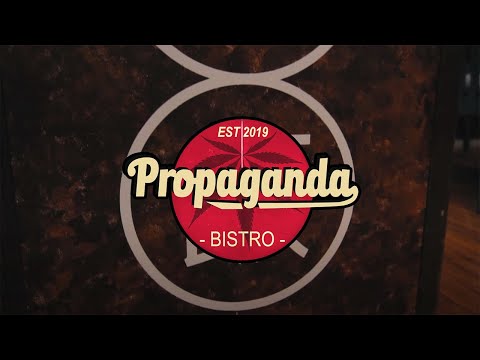 Curated Visuals video.