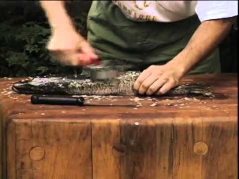 download lagu mp3 mp4 How To Use A Fish Scaler, download lagu How To Use A Fish Scaler gratis, unduh video klip How To Use A Fish Scaler