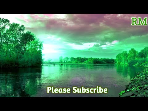 Beautiful Relaxing Music🌹Sleeping Music🌷Nature Music 🌴Rashika Music🌷