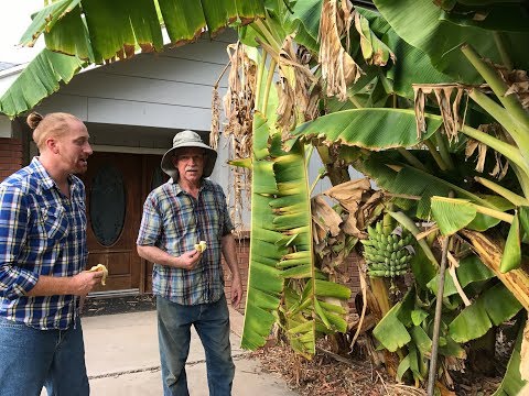 How To Construct A Healthy Soil | Interview with Master Gardener