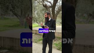 הרב אלישע וולפסון: עם ישראל חייב לבנות את בית המקדש! #ביתהמקדש (ישיבת הר הבית) - התמונה מוצגת ישירות מתוך אתר האינטרנט יוטיוב. זכויות היוצרים בתמונה שייכות ליוצרה. קישור קרדיט למקור התוכן נמצא בתוך דף הסרטון