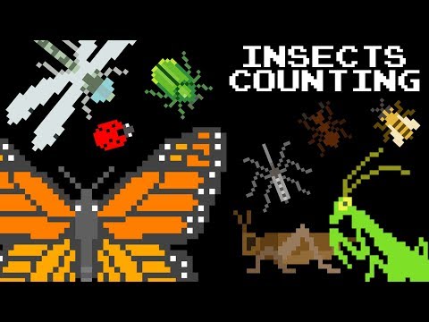 Insects Counting - Learn Counting to 12 with Bugs - The Kids' Picture Show (Learning Video)
